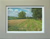 10.5 x 17 inch oil painting of the field at the edge of the village, looking towards Wing, with large trees on the right, and a single Oak tree just left of centre, with the ruts of the stubble field taking the eye into the picture. Also shows the plain grey/beige frame with a white painted inner slip.