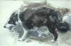 Sheep Dog 2, by Paul Powell