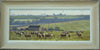 Sheep on Stubble Turnips, with Red Kites, by Peter Barker