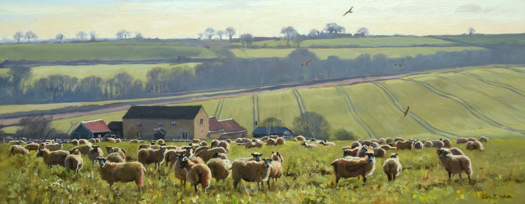 Sheep on Stubble Turnips, with Red Kites, by Peter Barker
