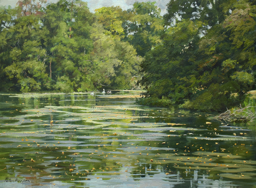 Sourland Pool, by Peter Barker