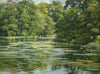 Sourland Pool, by Peter Barker