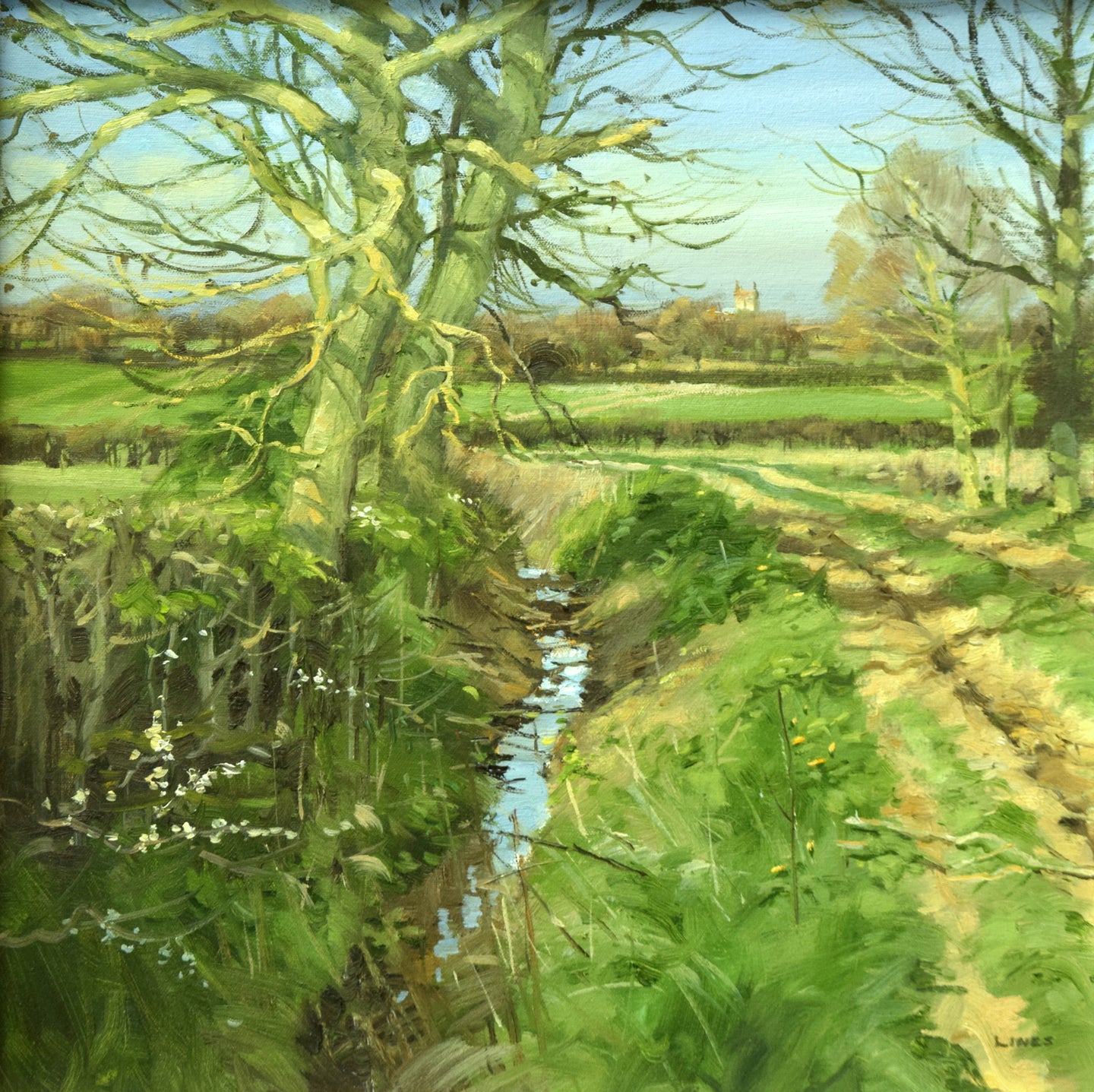 Spring showing Itself, by John Lines