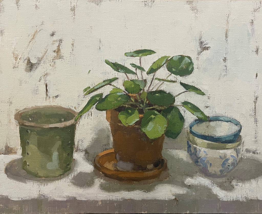 Still Life with a Money Plant and Shadows, by Fiona Carver