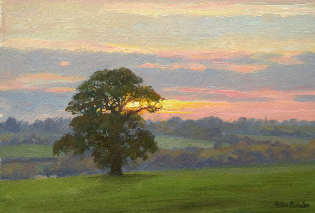 ‘Sunset Through the Great Oak at Lyndon’, by Peter Barker - P E T E R     B A R K E R     F I N E     A R T 