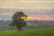 Load image into Gallery viewer, ‘Sunset Through the Great Oak at Lyndon’, by Peter Barker - P E T E R     B A R K E R     F I N E     A R T 
