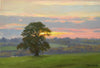 ‘Sunset Through the Great Oak at Lyndon’, by Peter Barker - P E T E R     B A R K E R     F I N E     A R T 