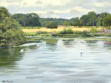 Load image into Gallery viewer, 6 x 8 inch oil painting of Swans on the lake at Clumber Park, painted en plein air.
