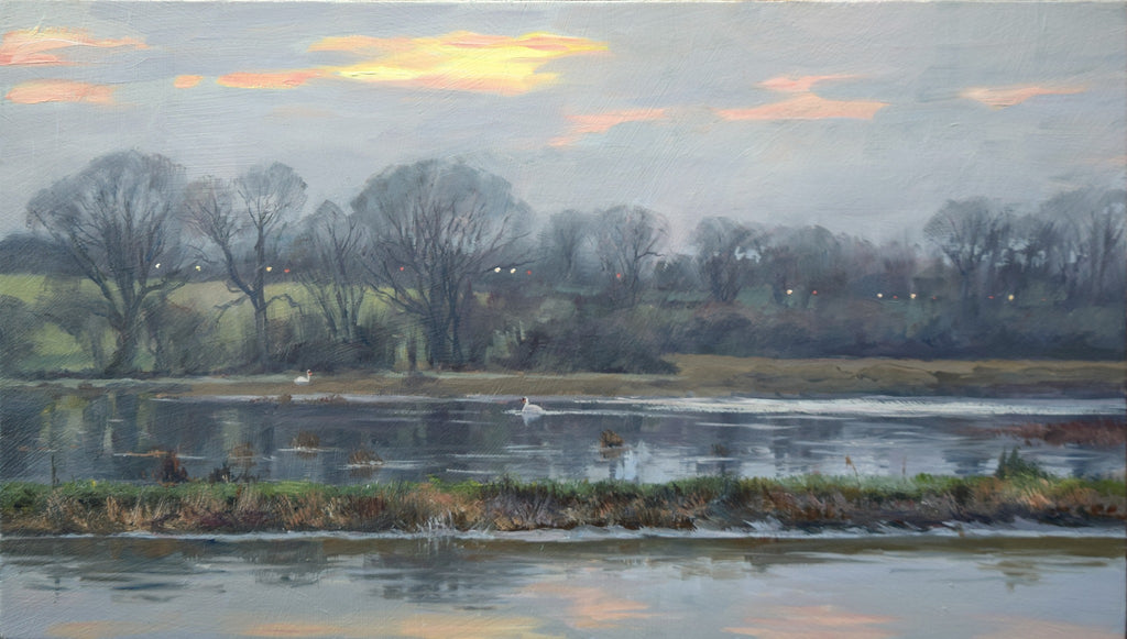 Swans on Flooded Fields, by Peter Barker RSMA - P E T E R     B A R K E R     F I N E     A R T 