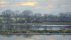 Swans on Flooded Fields, by Peter Barker RSMA - P E T E R     B A R K E R     F I N E     A R T 