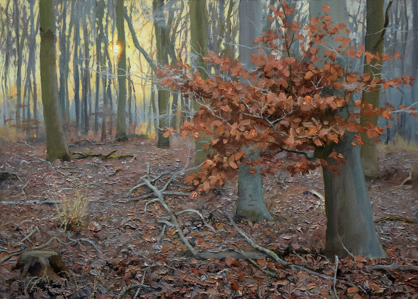 The Beech's Last Leaves, by Peter Barker