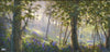 The Old Forest, by Jenny Aitken RSMA