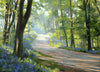 10 x 14 inch oil painting of the path through Barnsdale Wood, looking into the sunlight, trees appearing dark, with a sparkle of lit vegetation and foliage, with lots of Bluebells abounding.