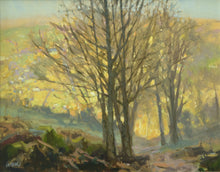 Load image into Gallery viewer, Towards the Sun, by Jenny Aitken RSMA
