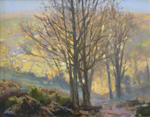 Load image into Gallery viewer, Towards the Sun, by Jenny Aitken RSMA
