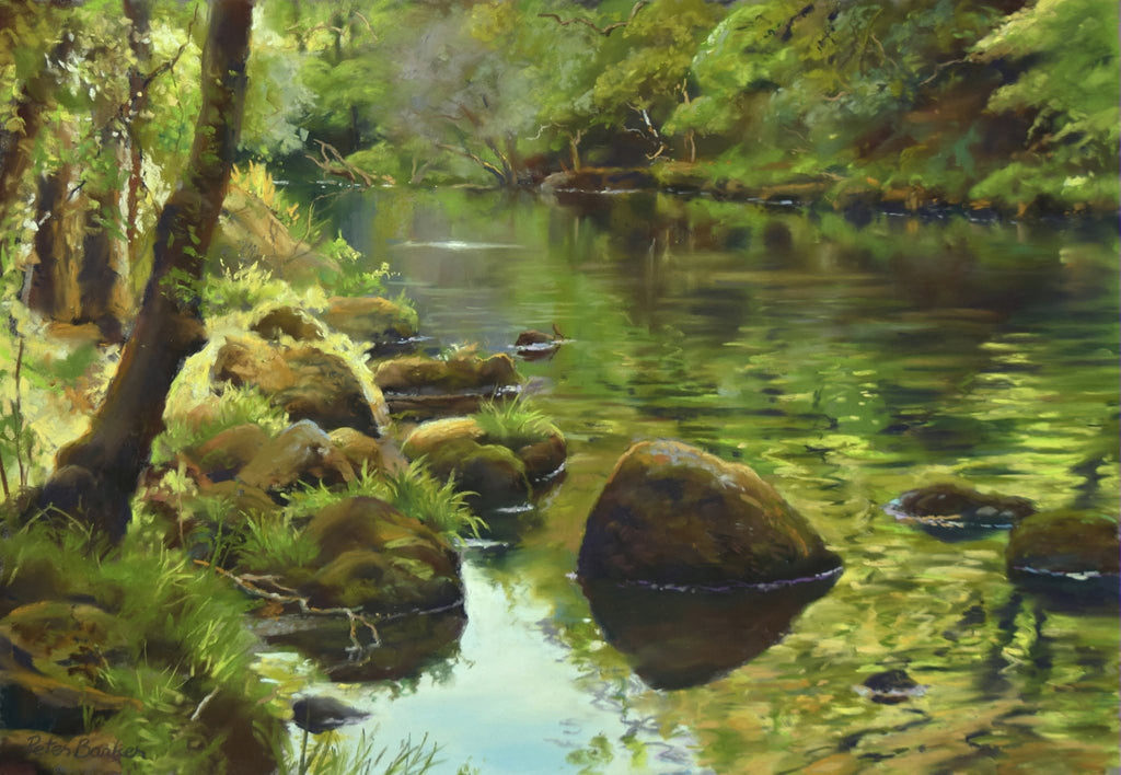 Trout Rising on The Teign, by Peter Barker