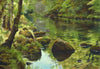 Trout Rising on The Teign, by Peter Barker