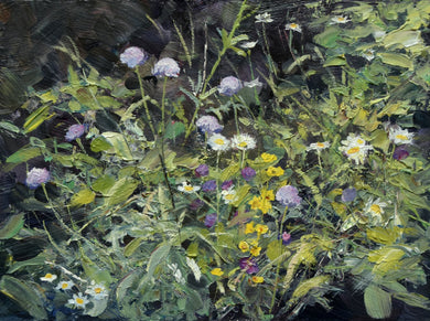 Loosely described painting of a wildflower meadow, with several mauve Field Scabious, white Oxeye Daisies, purple Knapweed and yellow Yellow Loosestrife.