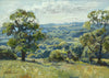 Small oil landscape of distant back-lit trees with a mature oak tree on the left and a small one on the right, and a meadow in th foreground, with an open gate beckoning us to walk through.