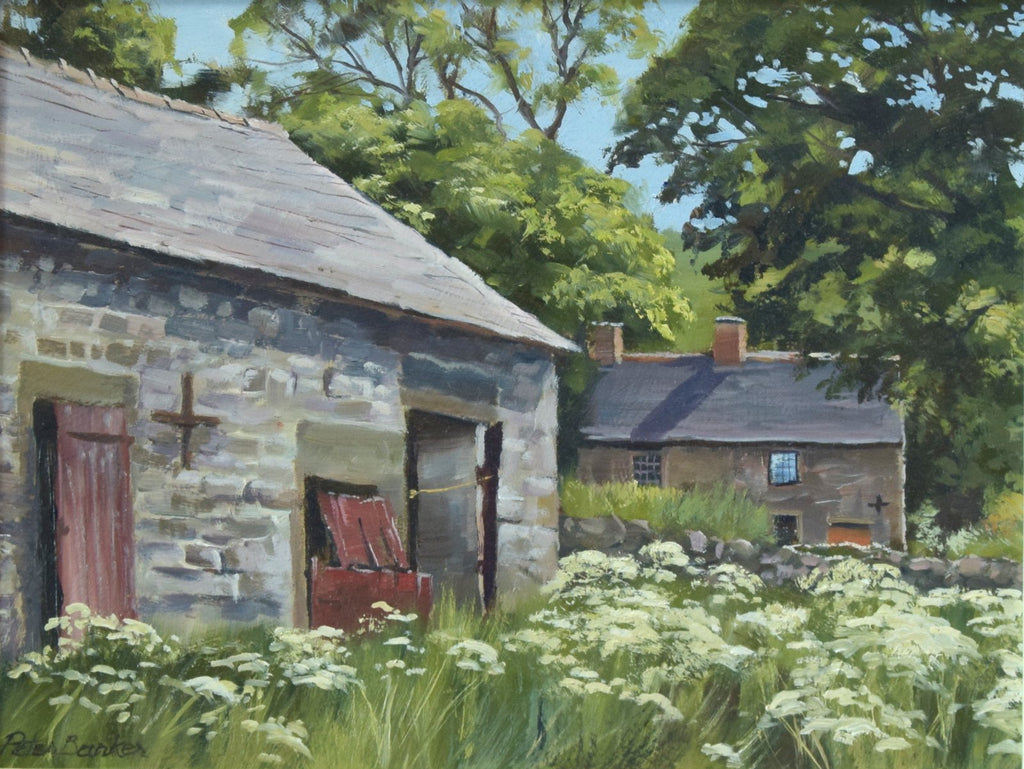 Cow Parsley by the Barn, by Peter Barker