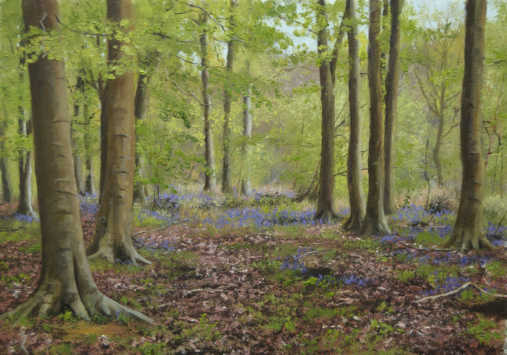 Beeches and Bluebells, by Peter Barker RSMA