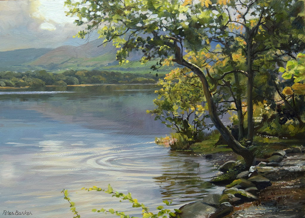 10 x 14 inch oil painting of Bassenthwaite Lake in the Lake District, painted on a calm day, with mirror-like reflections, trees in the right foreground and a ripple near the shoreline from a rising trout.