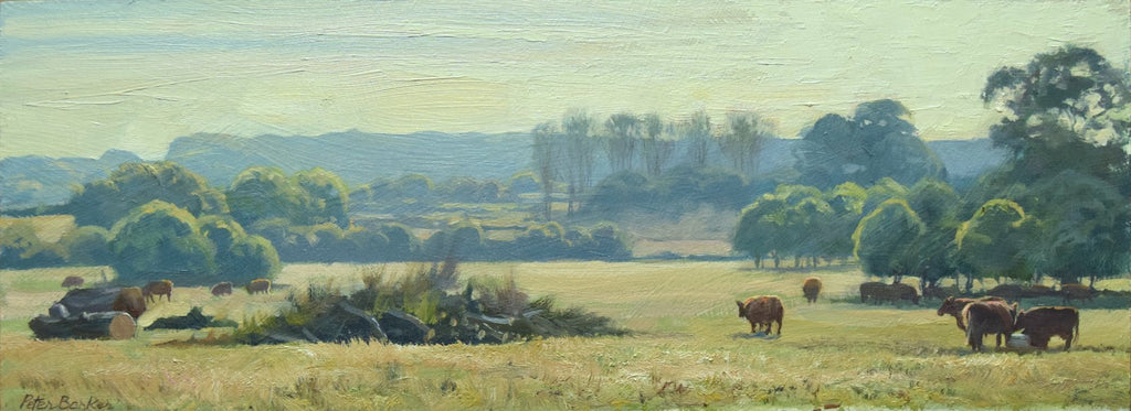 Cattle at Doddington by Peter Barker