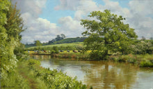 Load image into Gallery viewer, Cattle by the Canal, by Peter Barker
