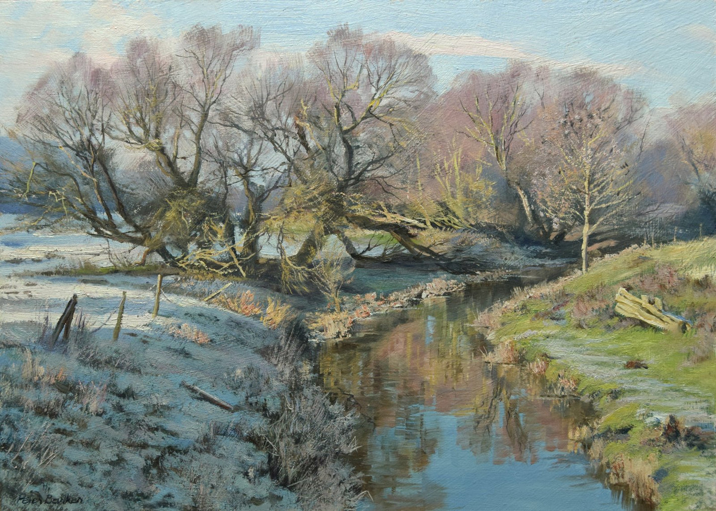 Crack Willows near Wakerley, by Peter Barker