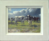A 12 x 16 inch acrylic painting by Carl Knibb, showing several Friesian Cattle with enquiring minds, very interested in you, the viewer! Beautiful big, Cumulus clouds behind them. Shows whitewashed frame.