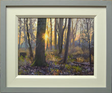 Load image into Gallery viewer, An oil painting of a spinney near my studio on a cold, bright January morning, with a golden sun partially hidden behind an Oak tree, casting a golden light over the woodland, and photo showing the frame with a grey outer moulding with cream inner moulding.
