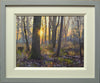 An oil painting of a spinney near my studio on a cold, bright January morning, with a golden sun partially hidden behind an Oak tree, casting a golden light over the woodland, and photo showing the frame with a grey outer moulding with cream inner moulding.