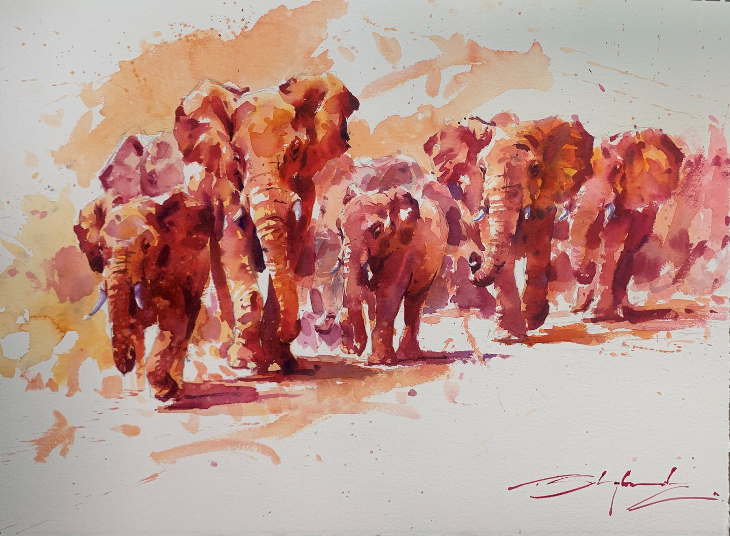 Herd of Elephants painted in watercolour with a warm, red palette, by brilliant wildlife painter Tom Shepherd