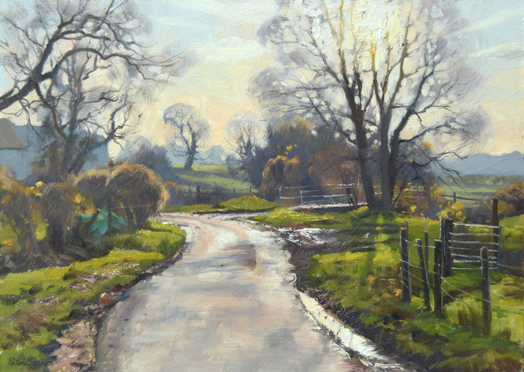 Near a farmyard at Elsthorpe, by Peter Barker. Lots of bare Winter trees, a damp road and halos of light around the hedgerows