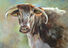English Longhorn head and shoulders pastel portrait, by Peter Barker RSMA, framed with reflection-free, ultra clear glass