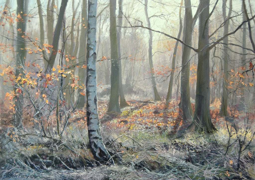 Painted as a demo painting by Peter Barker, with the silver colours of frost with a Silver Birch Tree left of centre.