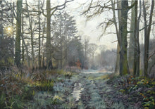 Load image into Gallery viewer, A large oil painting of a bridleway near Lyndon in Rutland by Peter Barker with bare trees, frosty ruts and a low winter sun
