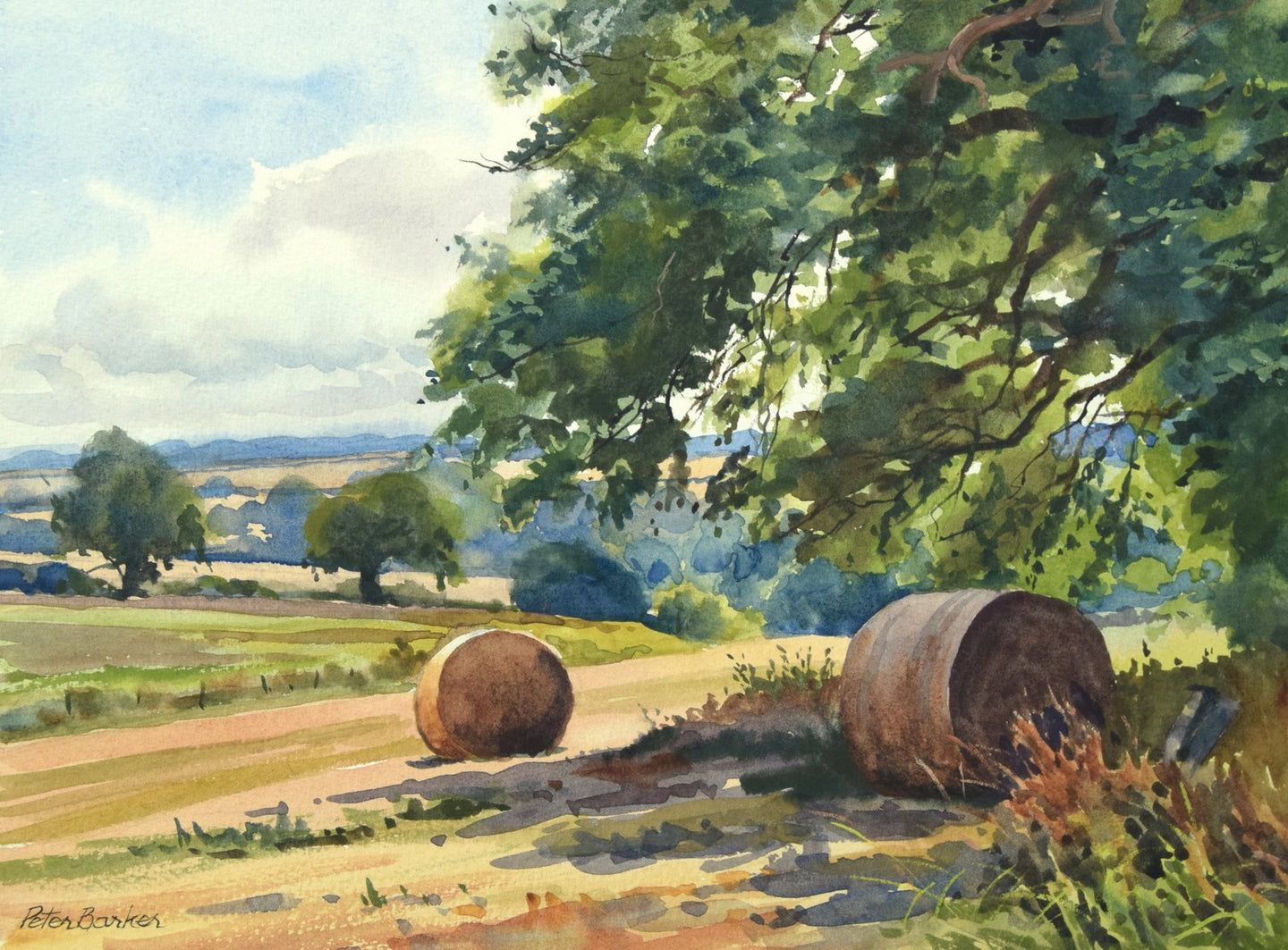 Hay bales at Preston Rutland by Peter Barker, with two round hay bales in the shade of a large tree on the right.