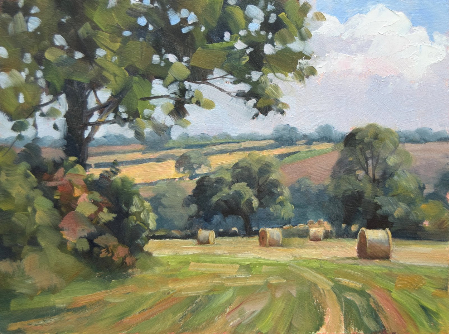 A loosely painted oil by Peter Barker RSMA, of hay bales in fields at Preston in Rutland, with lots of trees.