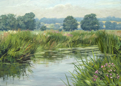 Summer by the River Welland, with hazy blue distant trees, water in the foreground with lily pads floating on the surface.