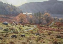 Load image into Gallery viewer, 14 x 20 inch oil of a herd of Herdwick sheep on the fells by Thirlmere, looking into the sunlight, mountains in the distance blue/grey.

