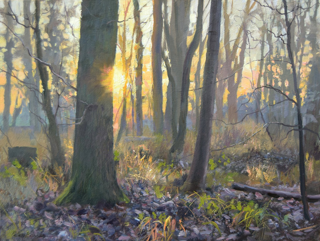 An oil painting of a spinney near my studio on a cold, bright January morning, with a golden sun partially hidden behind an Oak tree, casting a golden light over the woodland.