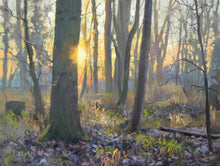 Load image into Gallery viewer, An oil painting of a spinney near my studio on a cold, bright January morning, with a golden sun partially hidden behind an Oak tree, casting a golden light over the woodland.
