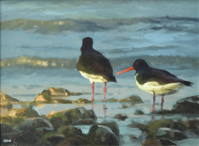 12 x 16 inch Oil painting of a pair of Oystercatchers, paddling on the shoreline amongst stones, with light waves washing in, their red beaks and legs a colourful foil against the blue-green water.