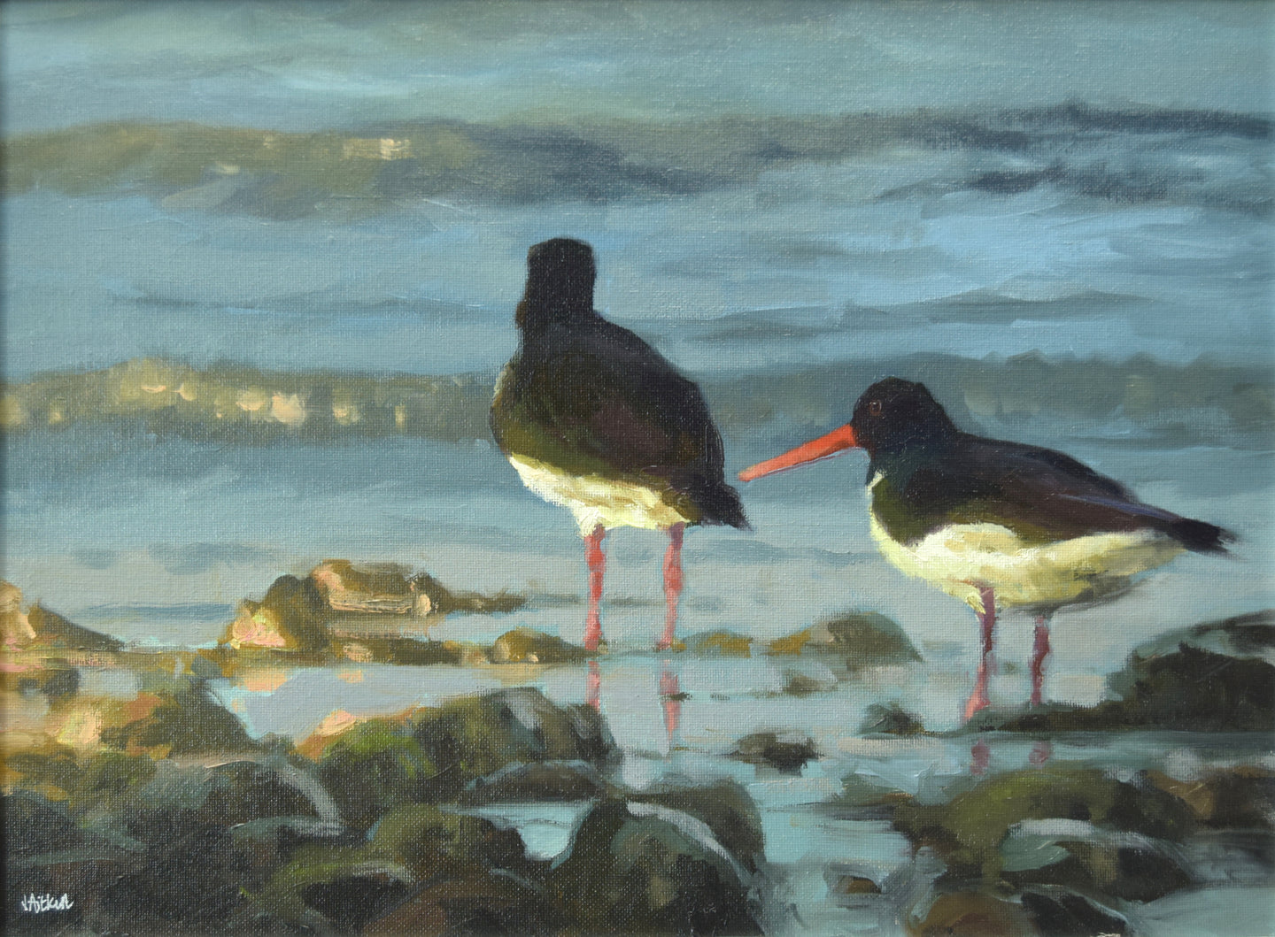 12 x 16 inch Oil painting of a pair of Oystercatchers, paddling on the shoreline amongst stones, with light waves washing in, their red beaks and legs a colourful foil against the blue-green water.