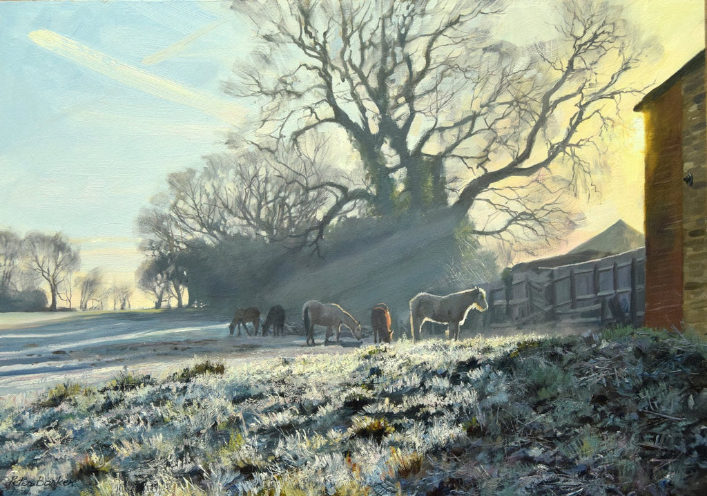 Ponies in the Frost, by Peter Barker