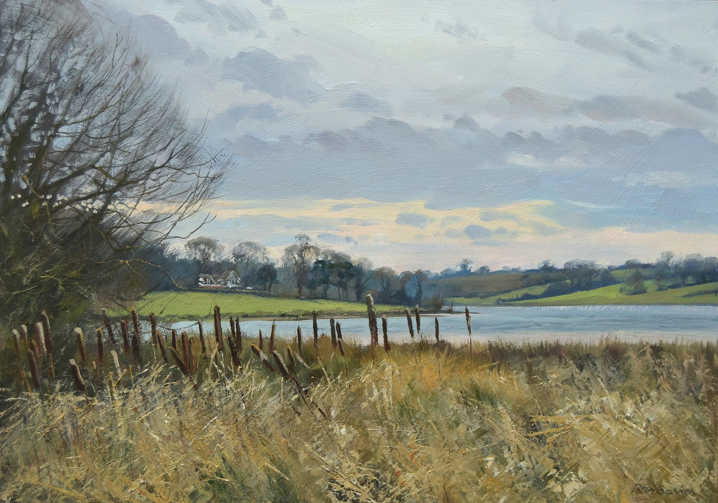 Oil painting by Peter Barker of Reedmace by Rutland Water in a cloudy sky with peachy-yellow colour near horizon