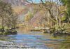 River Derwent, Borrowdale, by Peter Barker