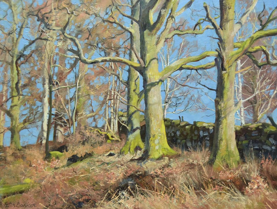 Oil painting of sunlit bare Winter trees on an upward slope set against a clear blue sky, by Peter Barker
