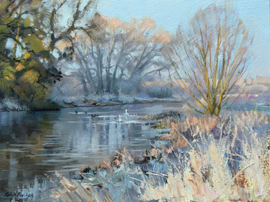 Oil sketch in a hard frost, by the River Nene near Water Newton, with Willows reflected in the water, with Swans and Ducks on the river, and bankside vegetation painted with a palette knife.